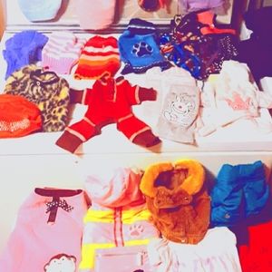 Dog clothes & collar & harnesses